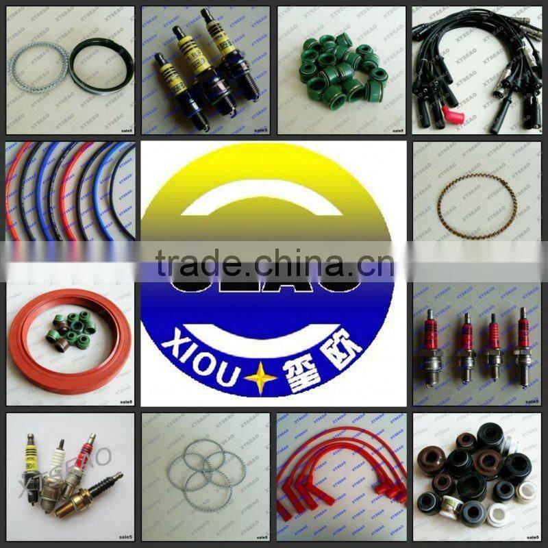 Reference Piston Ring