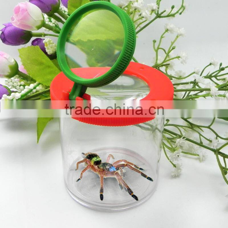 Toys gift insect viewer other educatonal toys