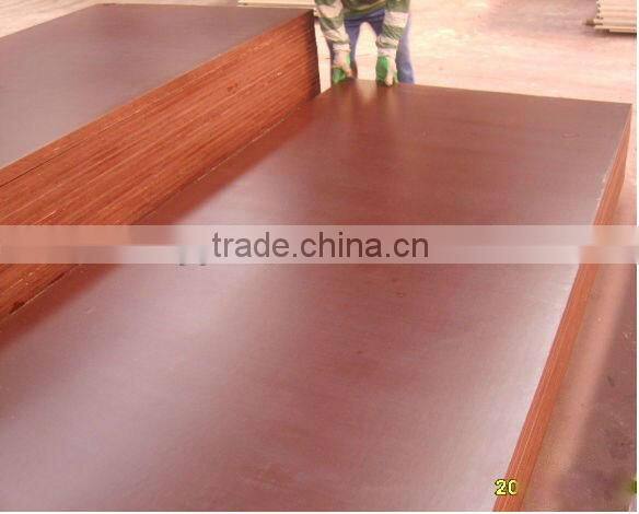Best Quality Formwork Plywood/ Shuttering Plywood for Construction