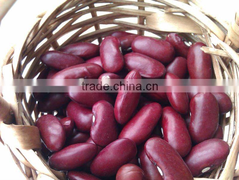 Organic Red Kidney Bean( British type, heilongjiang origin.hps)