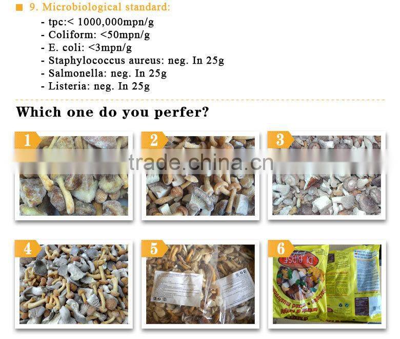 Common Cultivation dry oyster mushroom