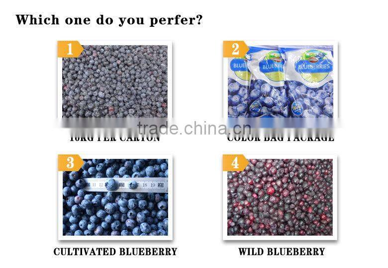 New Crop Frozen blueberry fruit and mix berries