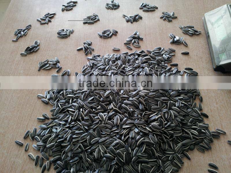 Hot sell chinese sunflower seeds 5009,5135, 20/64,22/64,24/64