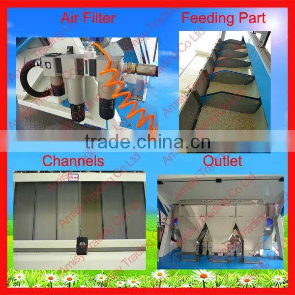 320 Channels Garlic Color Sorting Machine for Sale 0086 371 65866393