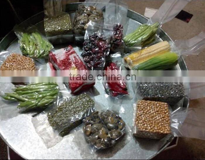 DZ300 Automatic Household Bag Vacuum Sealing Machine