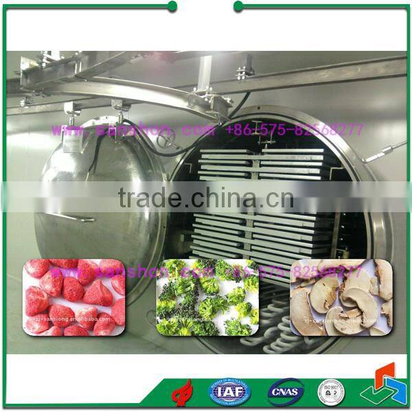 Advanced Sanshon FDG-100 Fruit and Vegetable Strawberry Vacuum Freeze Dryer