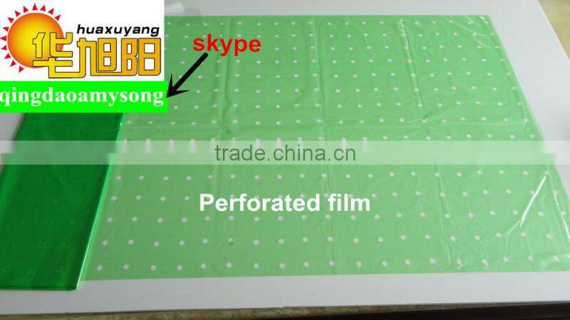 Green color PE Agricultural Plastic Perforated Film with UV for protective tomato tree