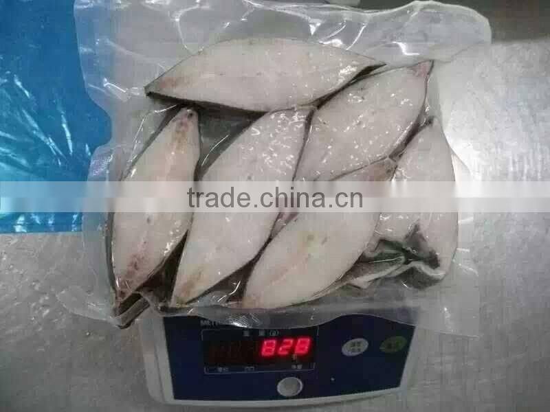 frozen mahi mahi steak