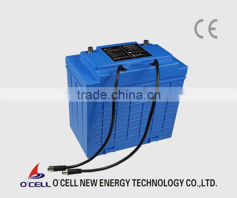 LiFePO4 24V100Ah battery pack with SLA case