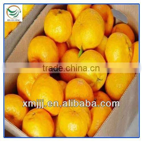 orange fruits price orange