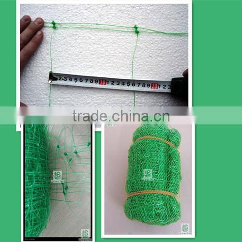 pea&bean plant support net