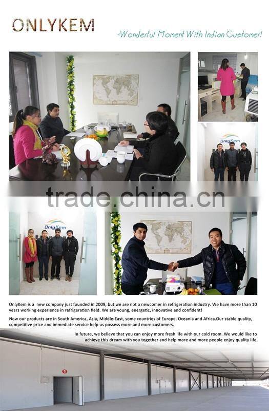 China hinged door for cold room,hinged door manufacture