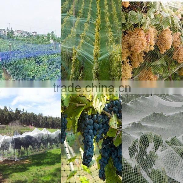 Hot! Nylon Net To Catch Birds & HDPE Anti Bird Net