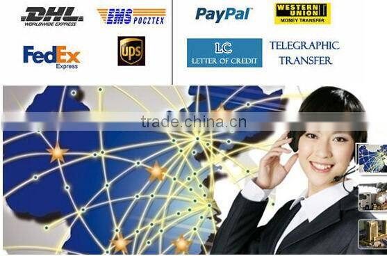 High:55CM 100LED sea bear 3D motif lights With 8 functions