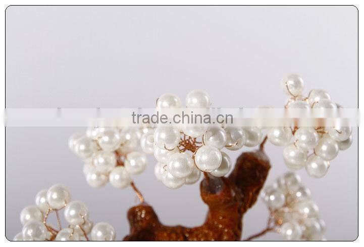 Chinese Money Trees hot sales