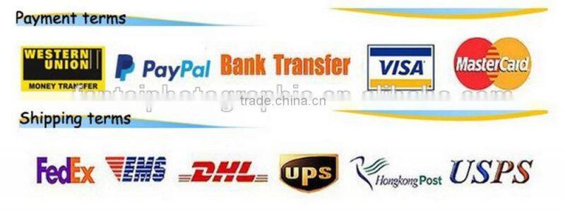 Flexible Light Weight Plastic Mobile Tripod For Smartphone