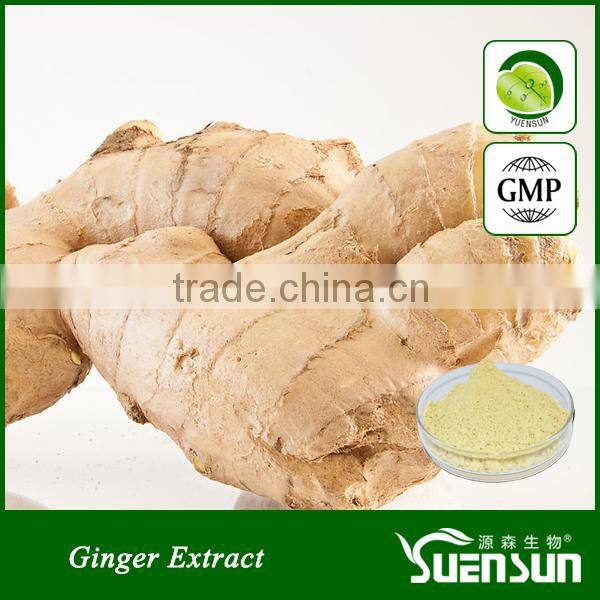 Pharmaceutical & healthcare grade dried ginger powder price
