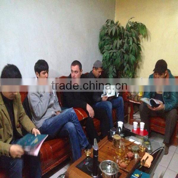 China manufacturer amusement rides kiddie caterpillar roller coaster for sale