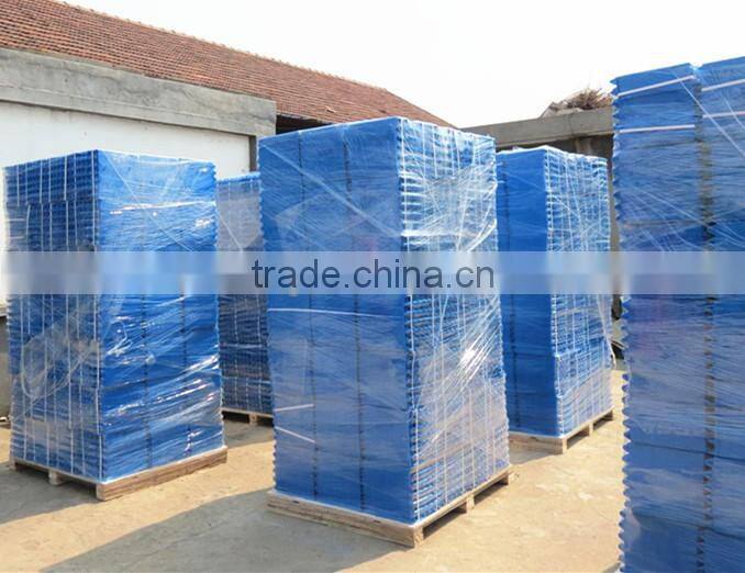 Big capacity egg carton box / plastic egg tray