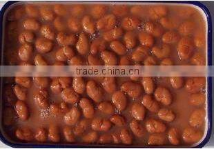 Canned Broad Beans in tomato sauce