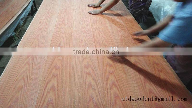 America natural red oak veneer plywood from Linyi