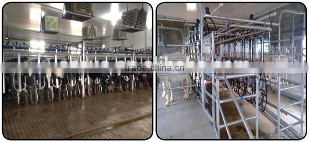 herringbone milk parlor systems / dairy goat milking equipment