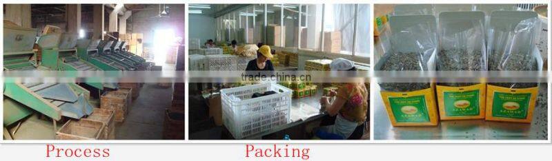 chinese organic green tea chunmee tea