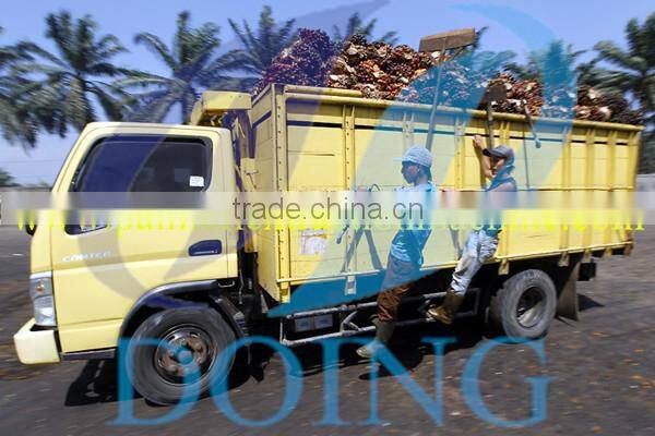 5t/h energy-saving palm oil processing machine