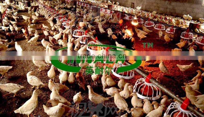 Factory Direct Sales Automatic Chicken Feeding System