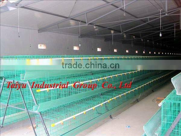 TAIYU-4 3 tier-A type egg laying chicken cage (Export standard battery cage system)