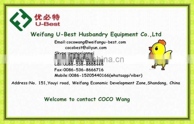Automatic Chicken House Equipment For Poultry Chicken Farm