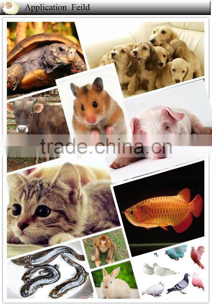 ISO11784/785 RFID Different Small Size Bioglass Animal RFID Pet Chip