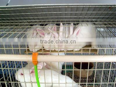 Professional customized double decker rabbit cage