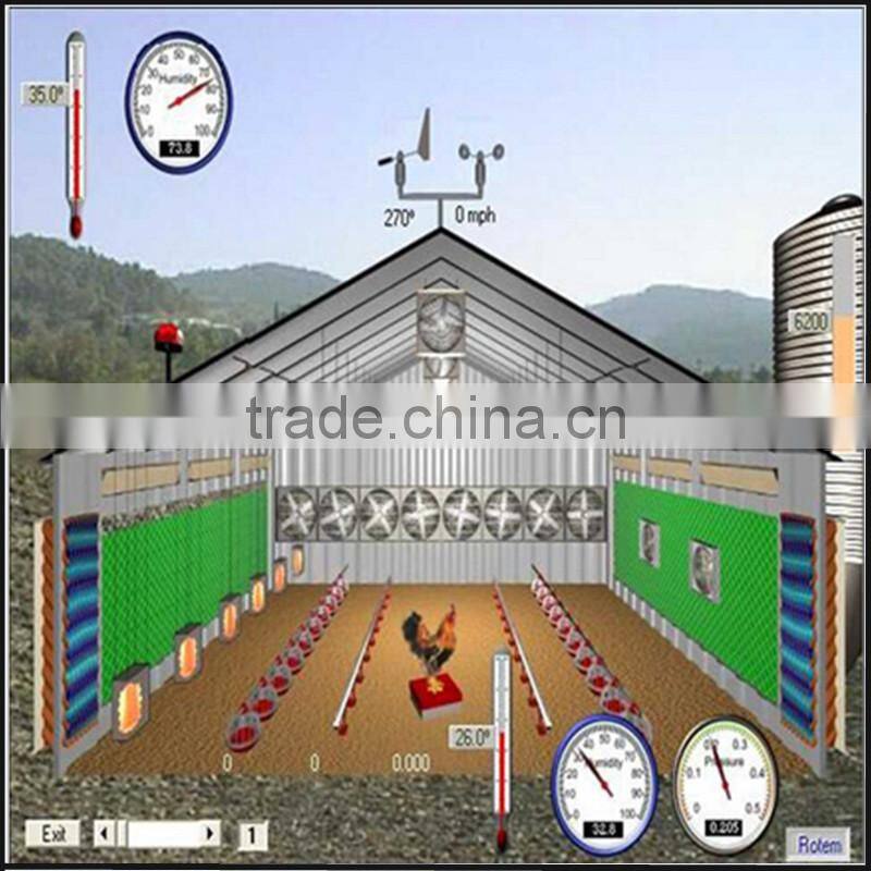 Industrial shed steel structure building design poultry farm shed chicken house for layers