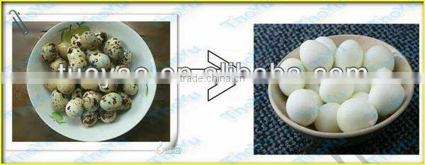 Thoyu Brand Salable Quail Egg Peeling Machine(SMS:0086-15903675071)