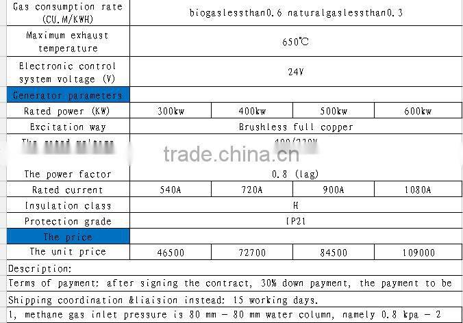 300-600 kw gas generator