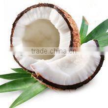 Coconut Oil Processing Machine