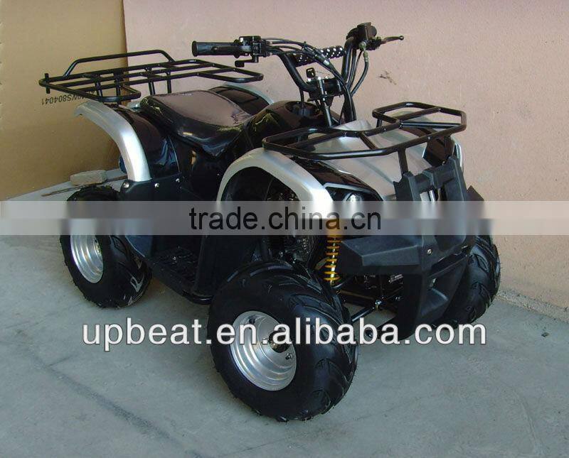 NEW DIRT AUTO QUAD BIKE ATV BUGGY 110cc PEEWEE CYCLONE