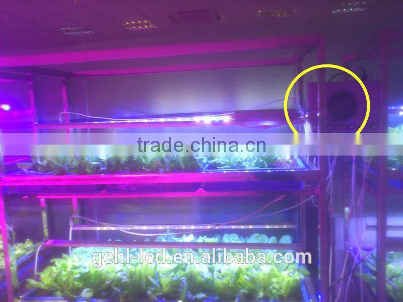 LED Grow Light Bar For indoor grow