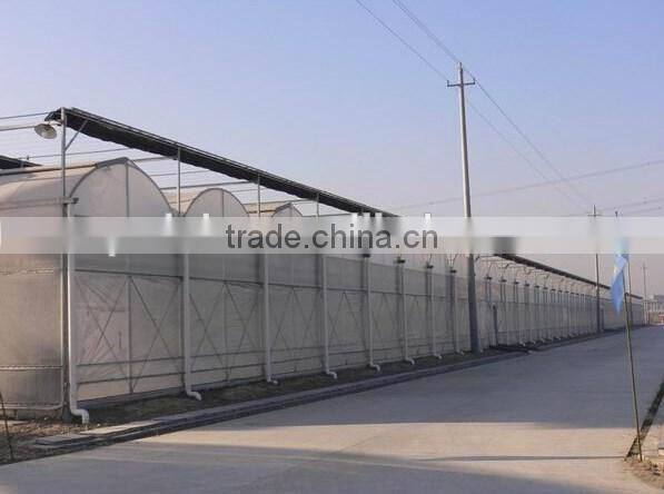 In plastic greenhouse was outside shading