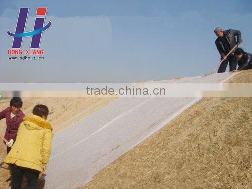 Coconut blanket coir fiber highest quality and Coir Products