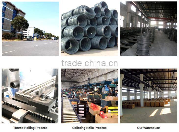 Factory Manufaturer Supply plastic strip nails / Electro galvanized gas pins nail