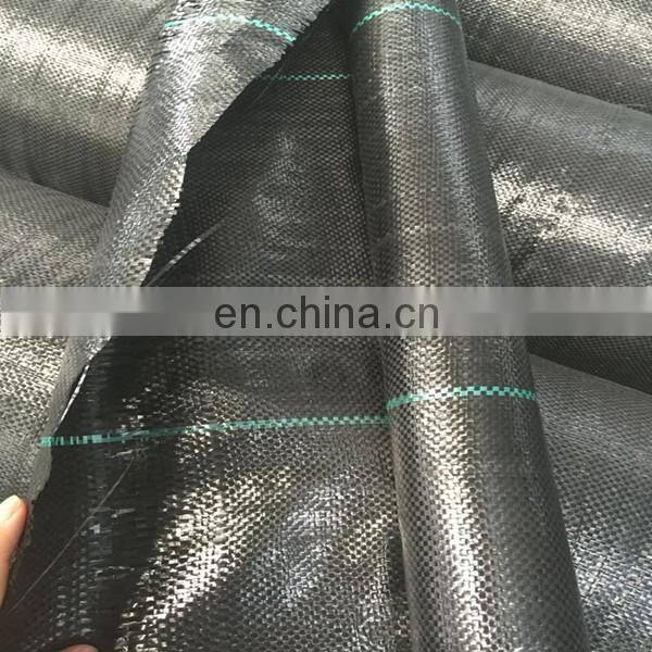 commercial weed barrier 100% pp woven weed killer for blueberry farm