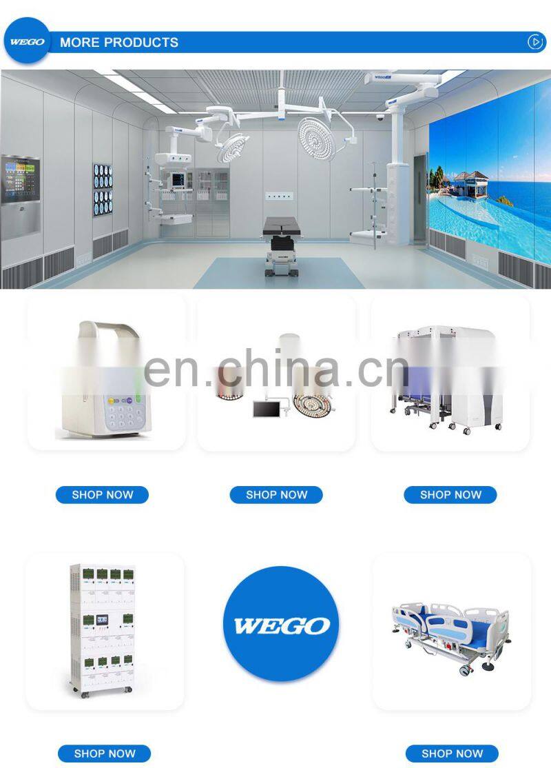 Wego hot product 10L Home Use Medical Portable Oxygen Generator medical oxygen concentrator price