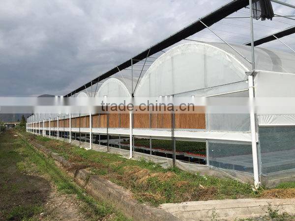 multi-span galvanized Aquarium Plant Greenhouse
