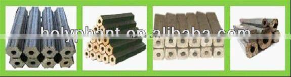 2013 Hot Sell Wood Charcoal briquette Making Line