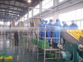 PET bottle hot filling fruit juice line