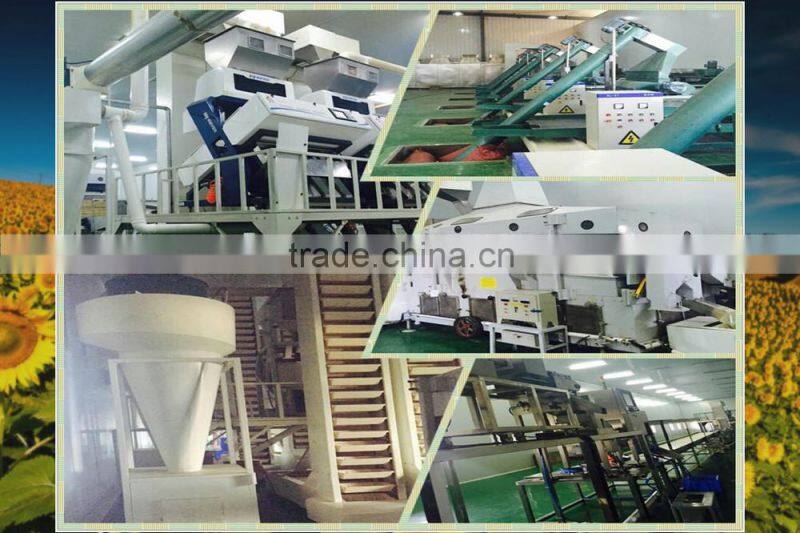 Low Price Shine Skin Pumpkin Seeds 2015 New Crops