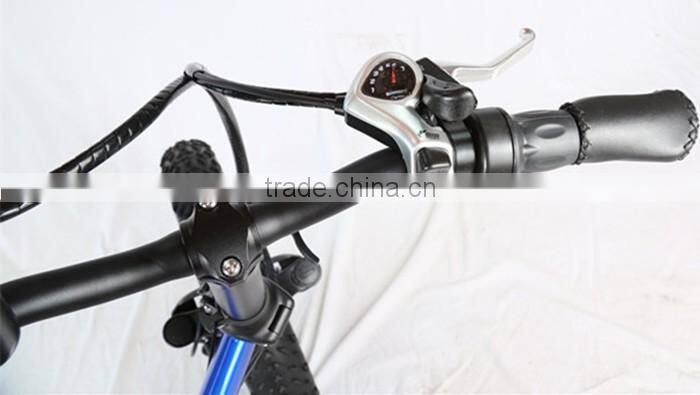 20" foldable Fat electric bike in china