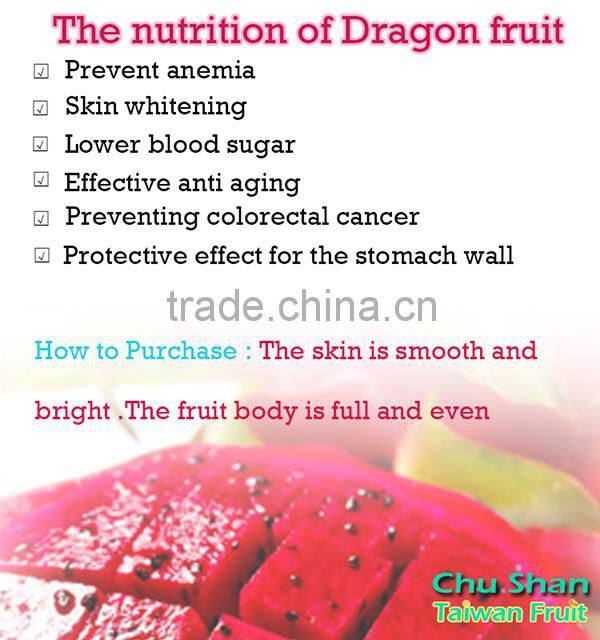 Taiwan Fresh red dragon fruit for sale